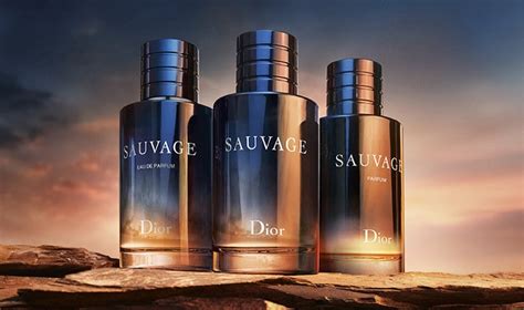 dior ソバージュ 値段|【DIOR】 ソヴァージュ（ソバージュ/SAUVAGE） .